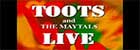 Toots And The Maytals - Live at Santa Monica, Pier
